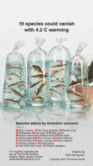 [Graphic News] 19 species could vanish with 4.2 C warming