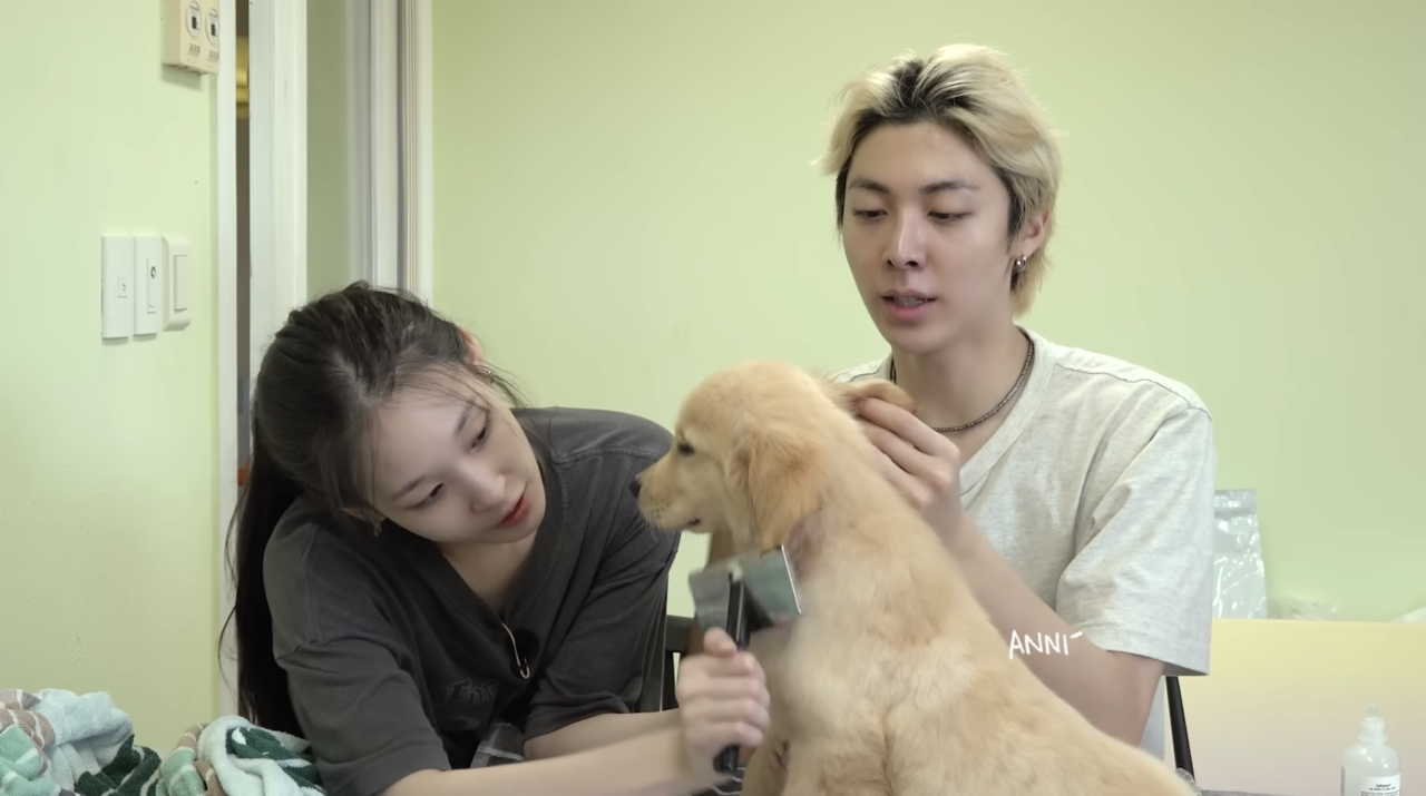 Allday Project's Annie (left) and Woochan groom a puppy at a dog shelter in Gyeonggi Province as part of their volunteer work. (Allday Project/YouTube)